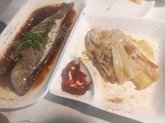 -云中小雅