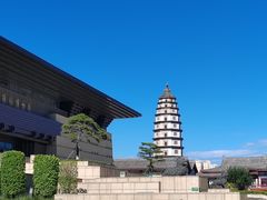 -开元寺塔