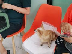 -纳吉亚猫专科动物医院博雅分院