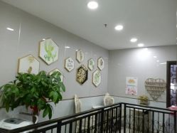 点击看大图 -新生植发·植养护一体