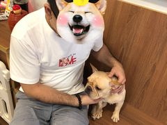 -柯斗斗主题餐厅·狗咖·围炉煮茶·茶饮(国瑞升平里店)