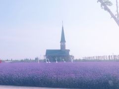 -南通鲜花小镇