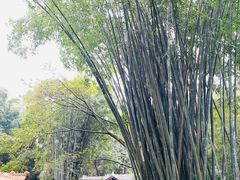 -成都杜甫草堂博物馆