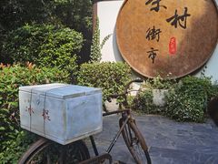 -天目湖山水园
