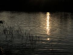 -杭州城北体育公园