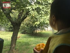 -西安秦岭野生动物园