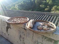 -雁南飞茶田景区