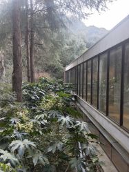 点击看大图 -尚圣月子会所·庄园式月子中心(萧山湘湖店)