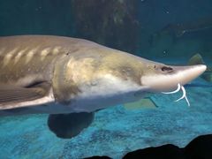 -多彩贵州城极地海洋世界