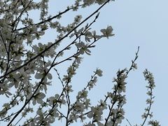 -南开大学(津南校区)