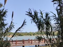 -五缘湾湿地公园