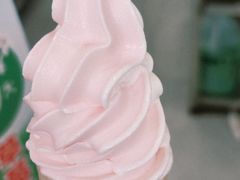 -蜜雪冰城·冰淇淋与茶(长郡中学店)