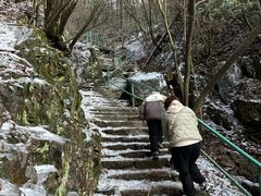 -四明山国家森林公园