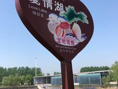 -滕州微山湖红荷湿地景区