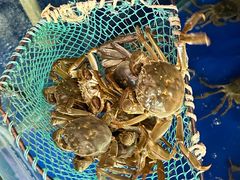 -阳澄湖大闸蟹·琼灵阁牌品牌连锁(吴中总店)