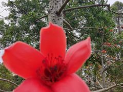 -中国移动南方基地