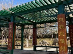 -西海子公园