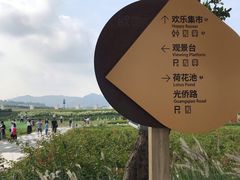 -光明小镇欢乐田园