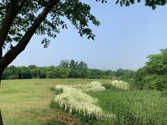 -盘龙城国家考古遗址公园