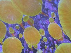 -海合安武汉极地海洋公园