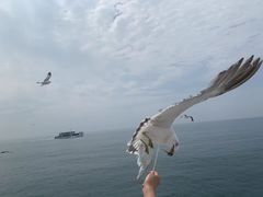 -海驴岛(荣成市)