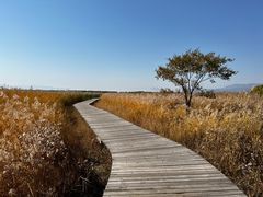 -野鸭湖国家湿地公园