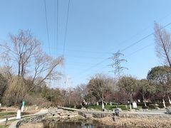 -太子山公园(园东路)