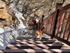-终南山南五台景区