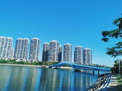 -五缘湾湿地公园