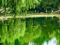 -环城公园-琥珀潭