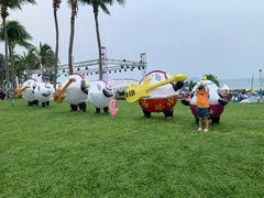 -三亚亚龙湾天域度假酒店