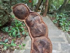 -七仙岭温泉国家森林公园