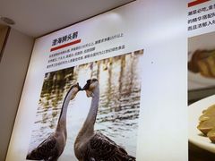 -陆记鹅庄·潮汕菜·狮头鹅(大仟里店)