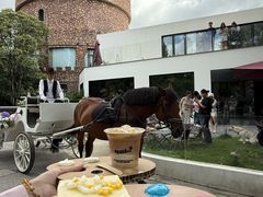 -J Create城市露营咖啡·简餐·宠物(上海动物园店)