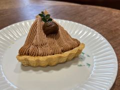 -猫里有甜