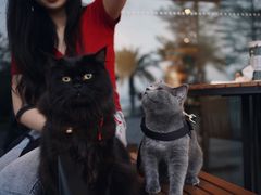 -星巴克(珠海仁恒滨海中心店)