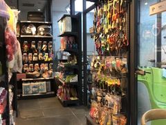 -萌兽医馆·眼科·异宠专科(三里屯店)