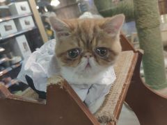 -宠物世家(仲盛世界商城店)