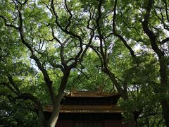 -普陀山风景名胜区-法雨禅寺