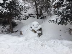 -雪谷