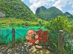 -靖西鹅泉风景区