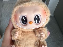 -北京老铺烤鸭(高新店)