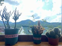 -马灯部落·西湖边的创意山景餐厅(虎跑动物园店)