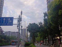 -东吴霸王兔(松青路店)
