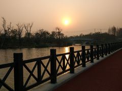 -上海长兴岛郊野公园