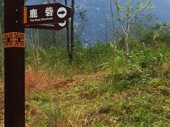 -鹿院坪生态旅游景区