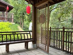 -石台牯牛降景区