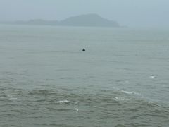 -神州半岛海上运动俱乐部