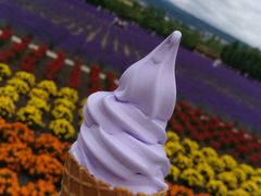 -富田农场