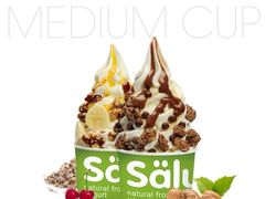 -Salud撒露欧洲冻酸奶(北苑上品店)